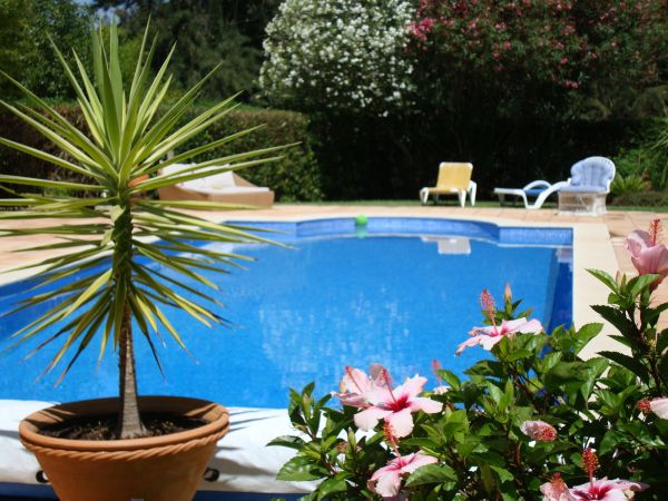 Cost of Pool Terrace Renovation in Bainbridge Island